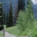 Trails